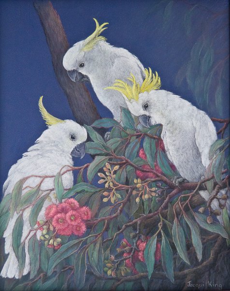 The cocky trio.jpg - The cocky trio